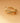 Gold Knotted Ring