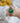 Lola Hazelnut Leather Rose Gold / Green